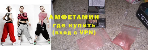 сатива Новодвинск